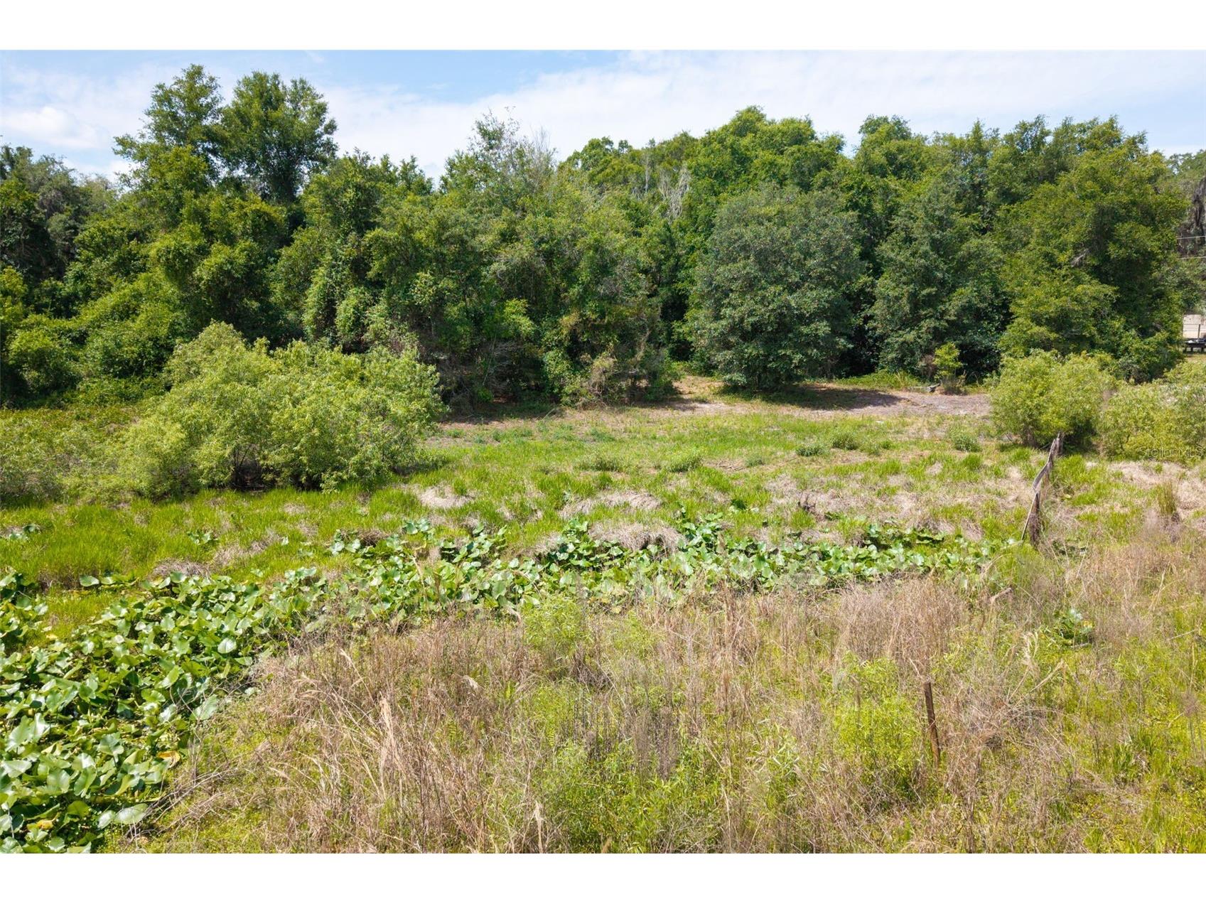 3482 County Road 507 Wildwood FL 34785 OM723881 image14
