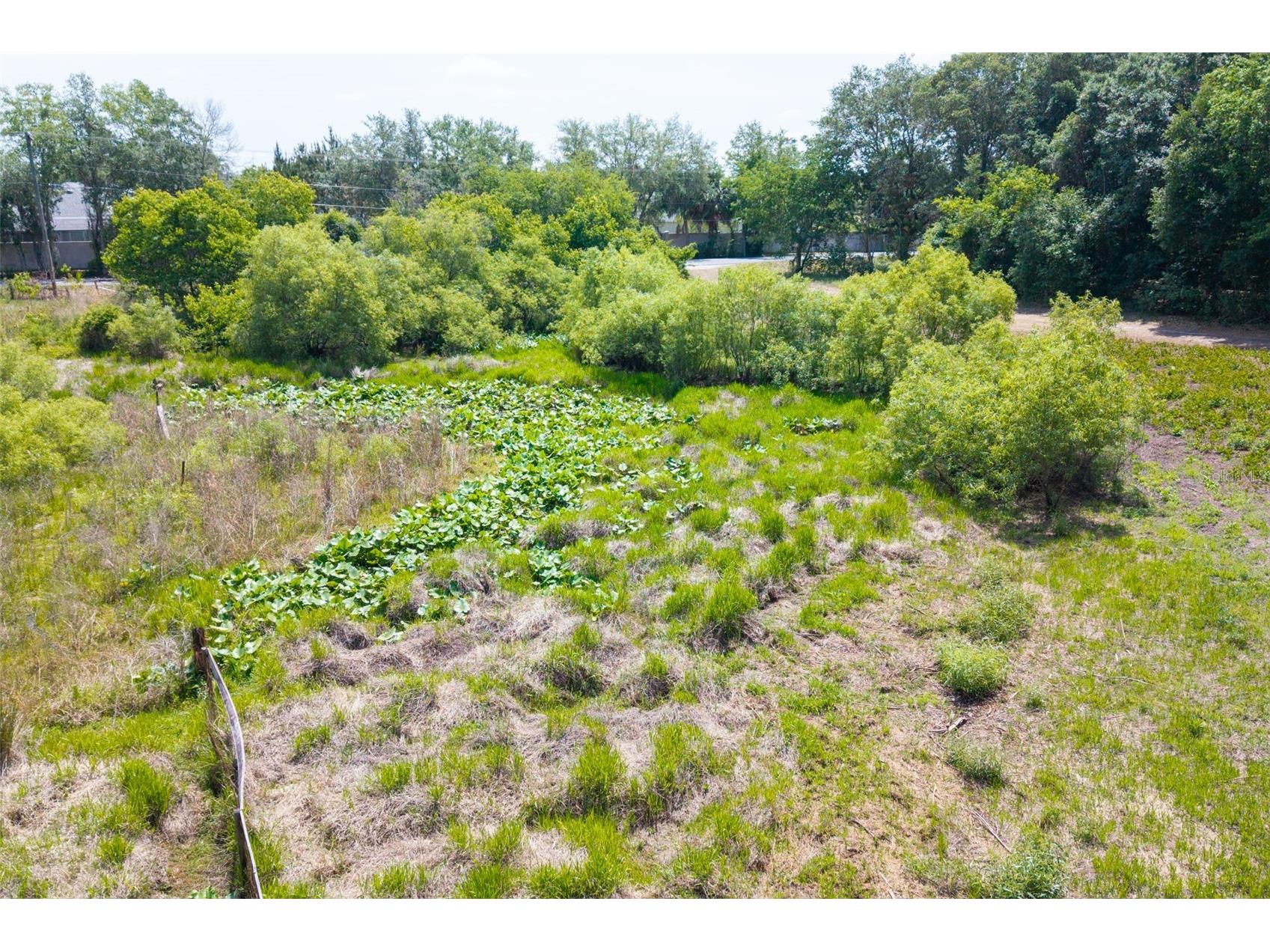 3482 County Road 507 Wildwood FL 34785 OM723881 image15