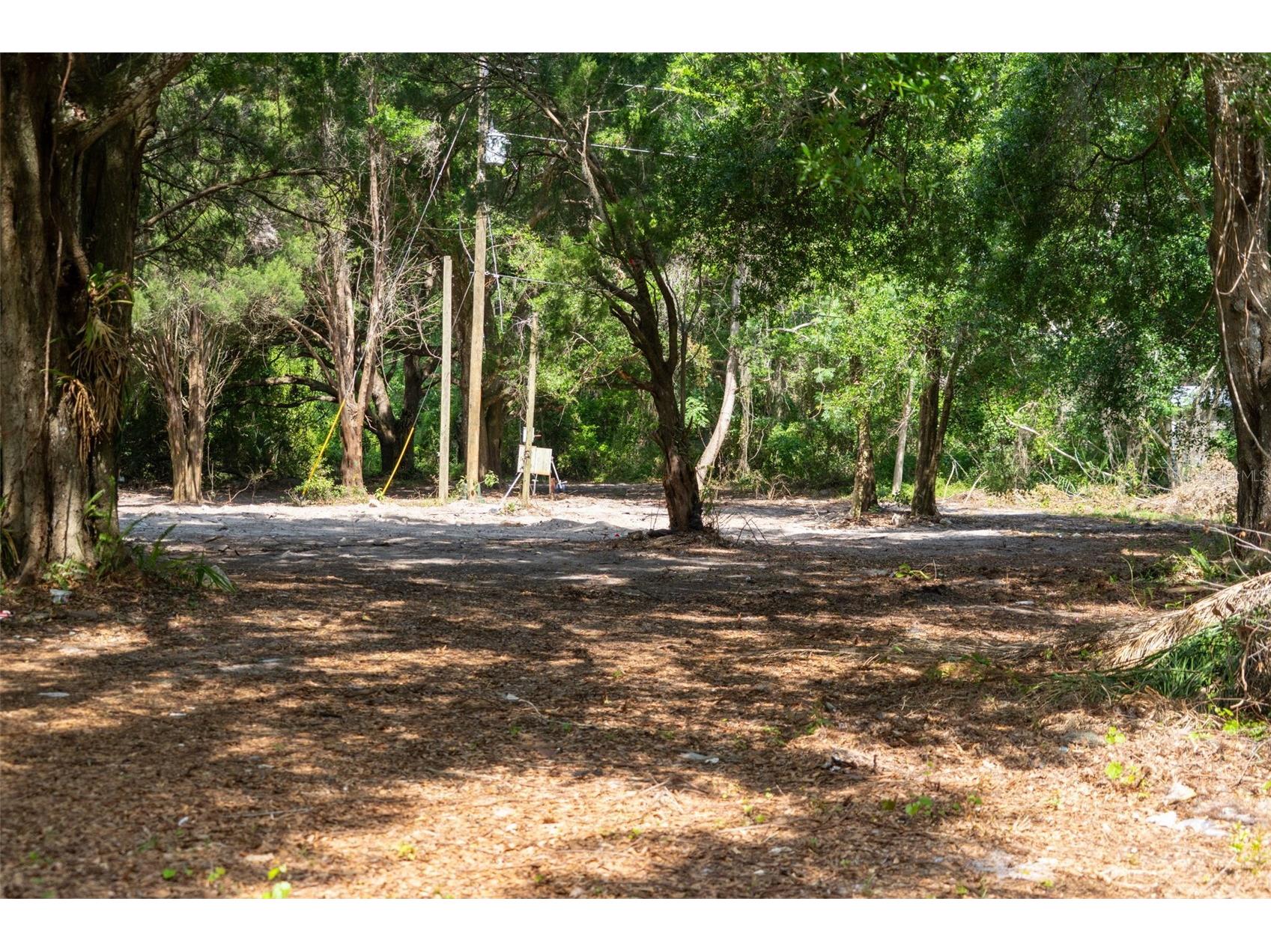 3482 County Road 507 Wildwood FL 34785 OM723881 image2