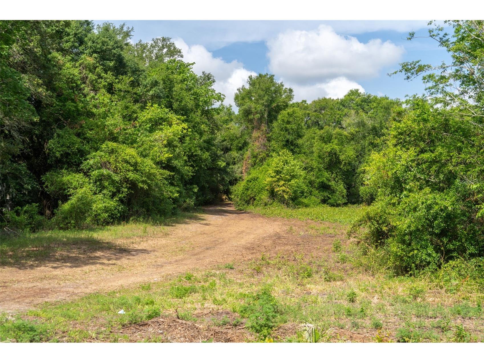 3482 County Road 507 Wildwood FL 34785 OM723881 image21