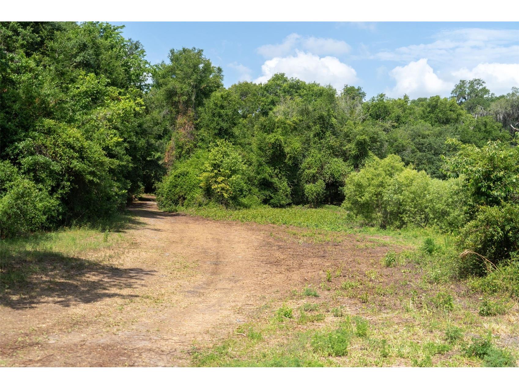 3482 County Road 507 Wildwood FL 34785 OM723881 image28