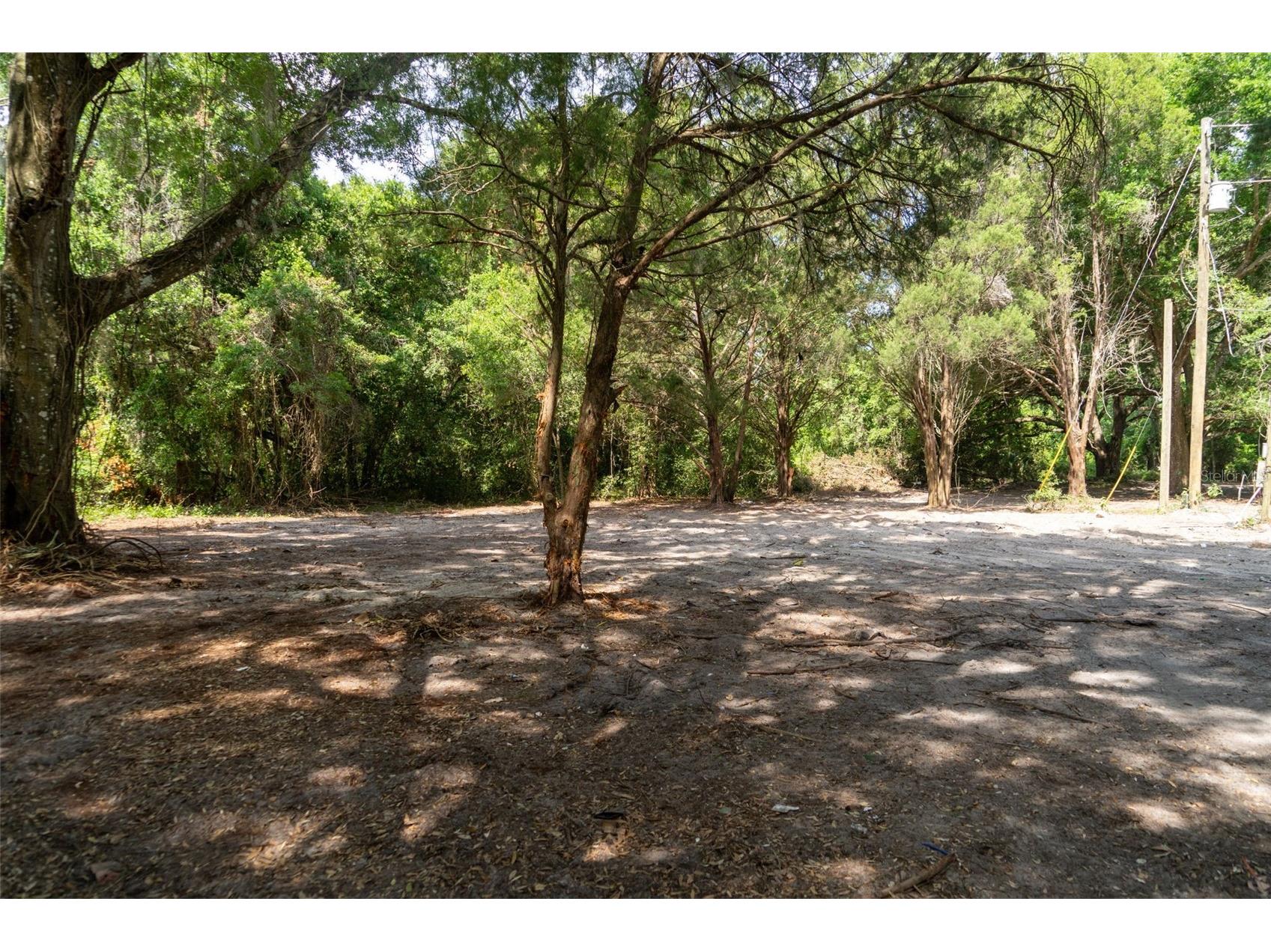 3482 County Road 507 Wildwood FL 34785 OM723881 image3