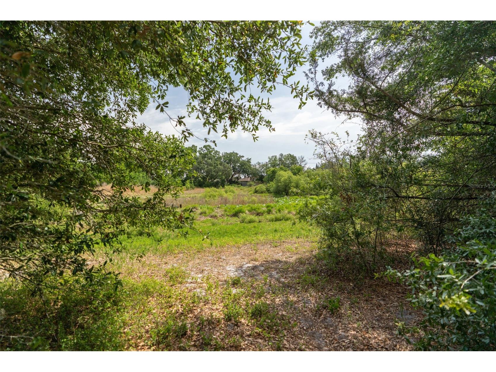 3482 County Road 507 Wildwood FL 34785 OM723881 image30