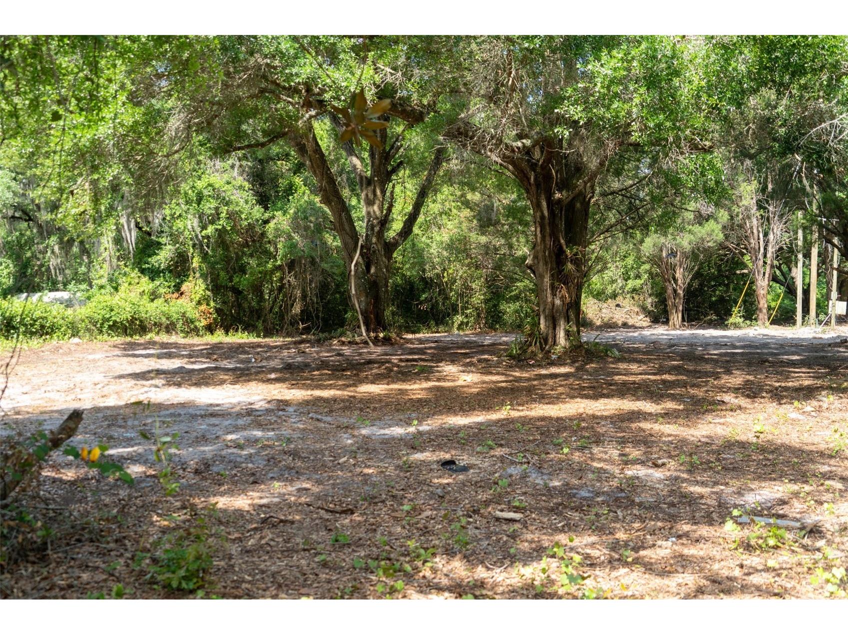 3482 County Road 507 Wildwood FL 34785 OM723881 image4