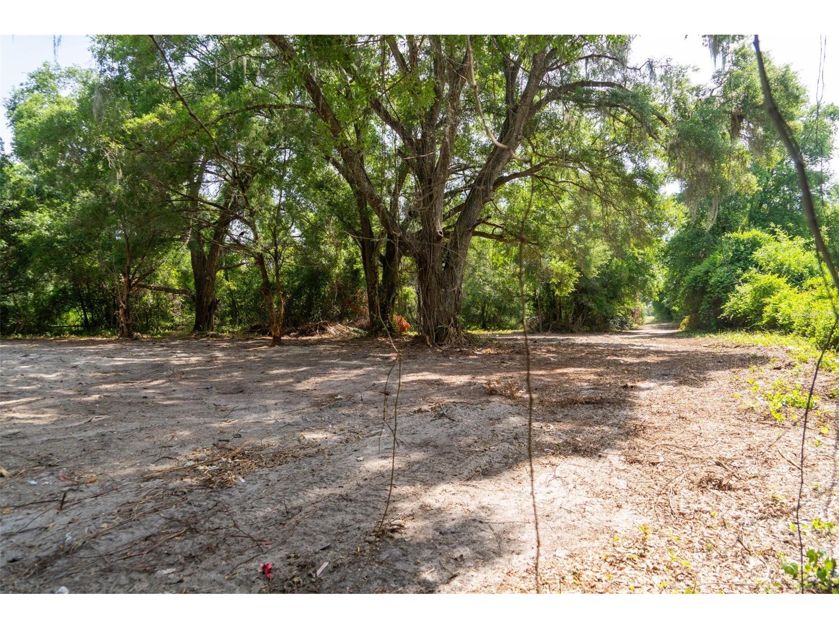3482 County Road 507 Wildwood FL 34785 OM723881 image5