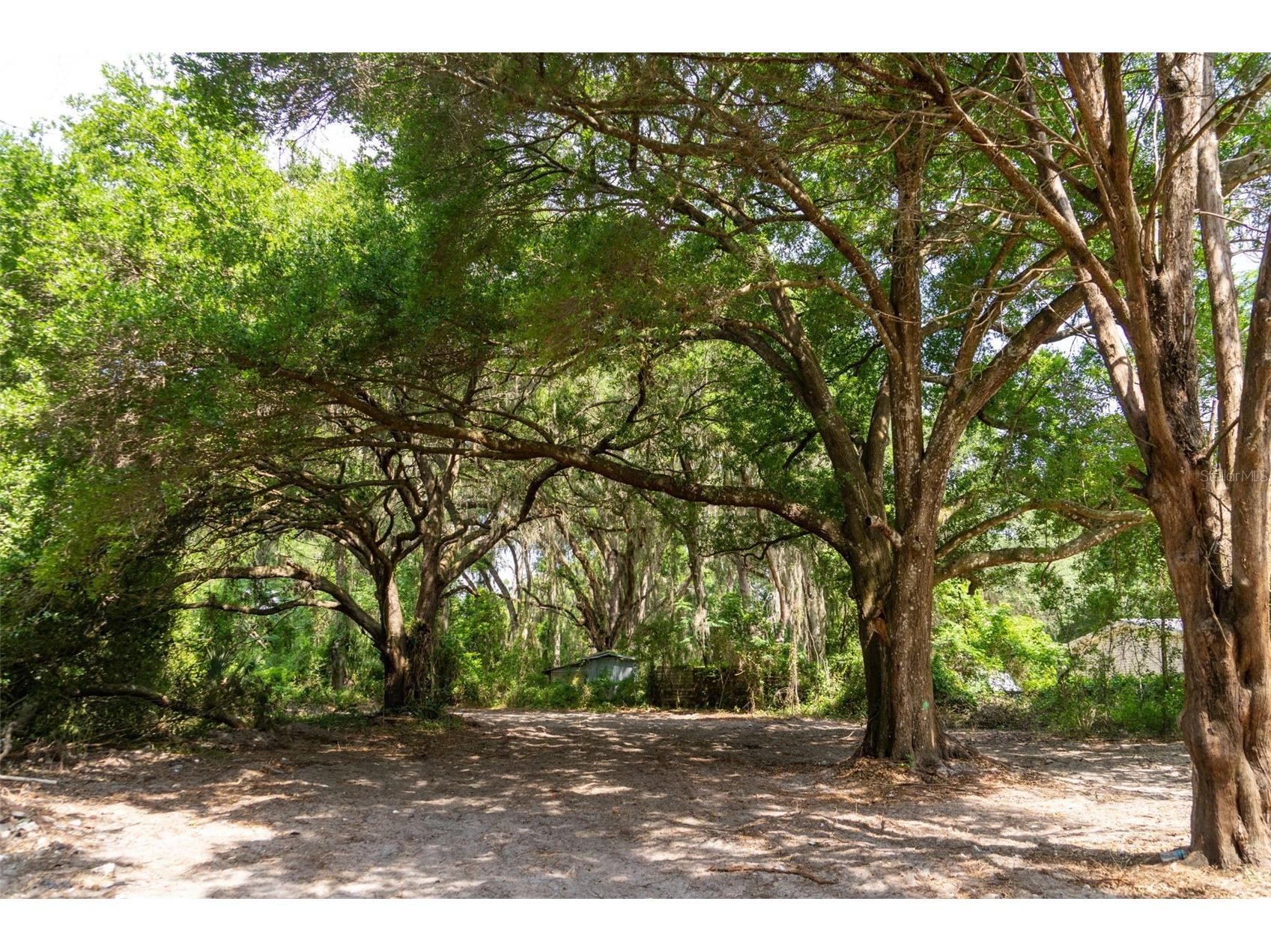 3482 County Road 507 Wildwood FL 34785 OM723881 image6