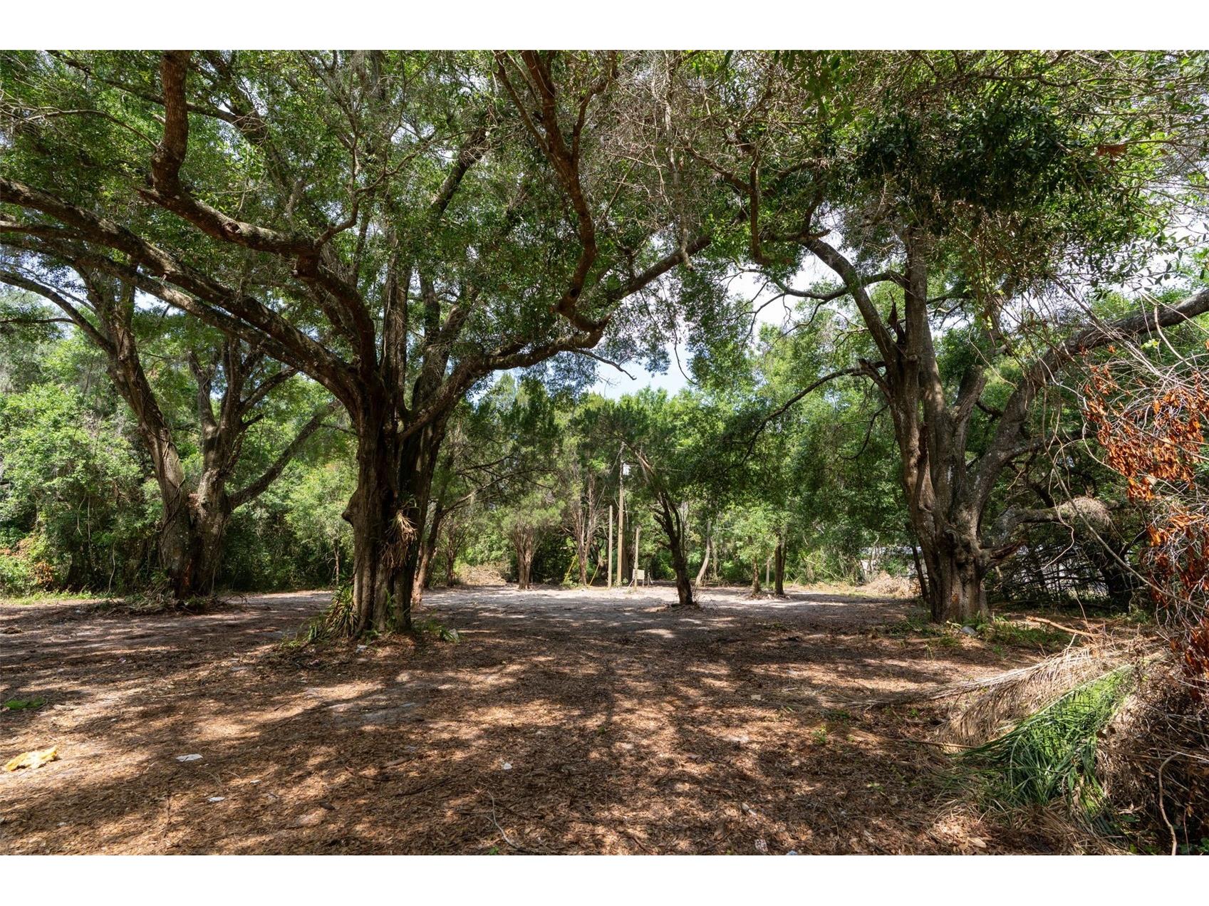 3482 County Road 507 Wildwood FL 34785 OM723881 image9