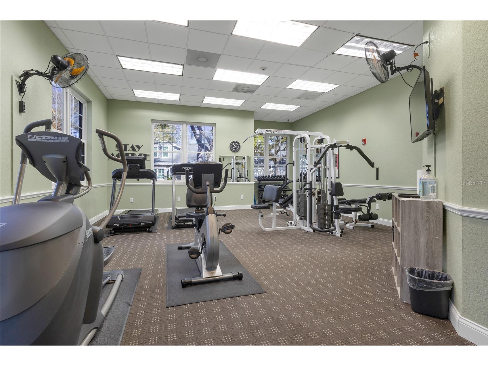 3482 Kings Road #102 Palm Harbor FL 34685 TB8483793 image36