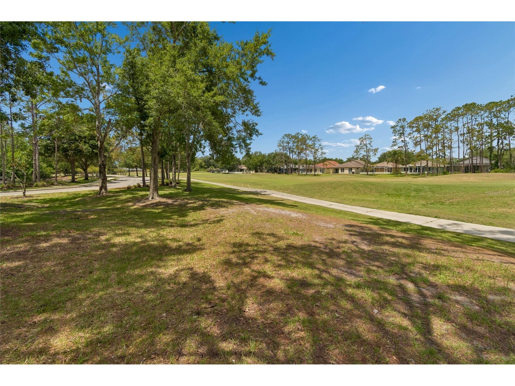 34821 Turnbury Court Zephyrhills FL 33541 TB8509282 image12