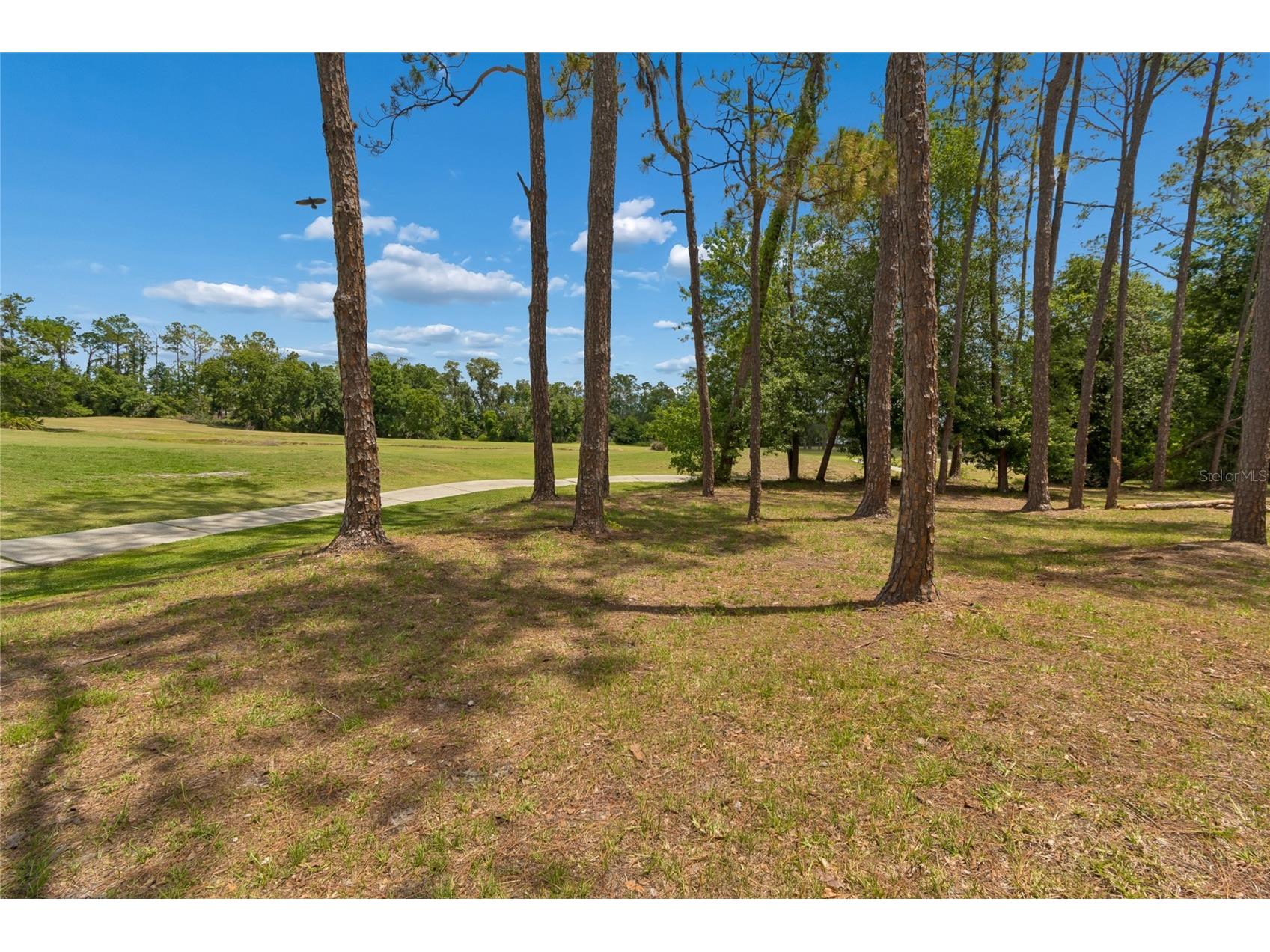 34821 Turnbury Court Zephyrhills FL 33541 TB8509282 image13