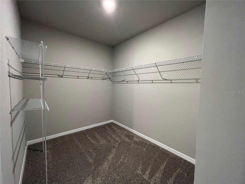 34823 Telluride Lane Zephyrhills FL 33541 TB8454431 image14