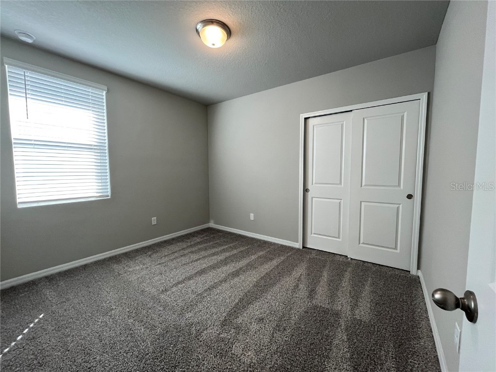 34823 Telluride Lane Zephyrhills FL 33541 TB8454431 image19