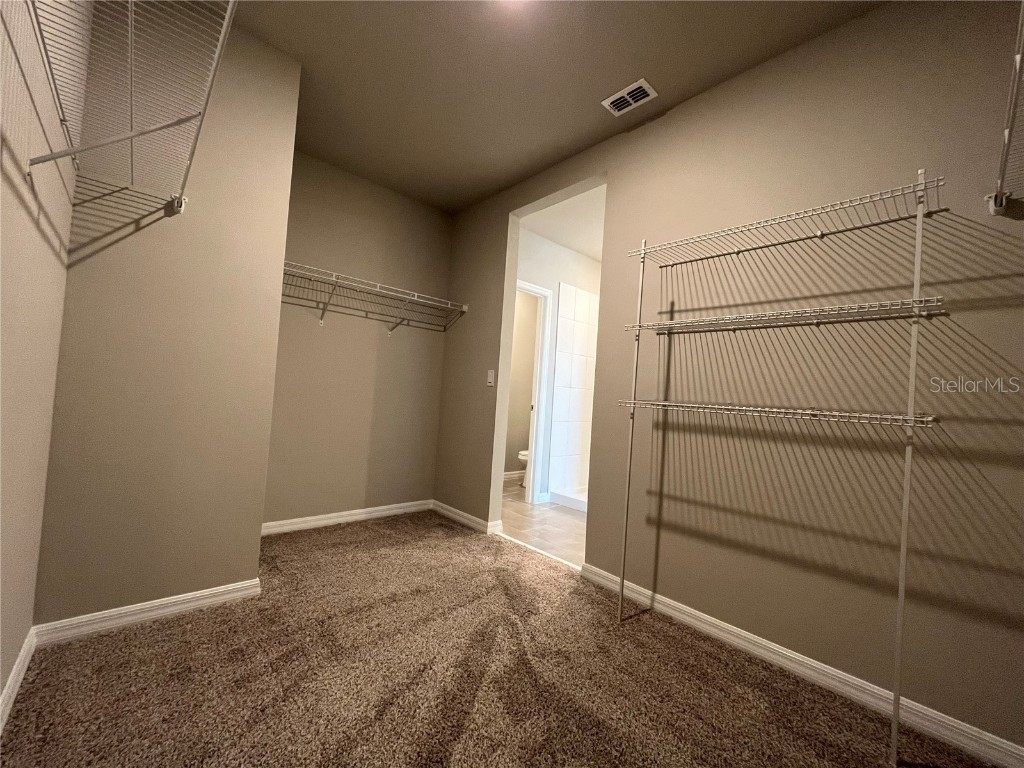 34823 Telluride Lane Zephyrhills FL 33541 TB8454431 image22