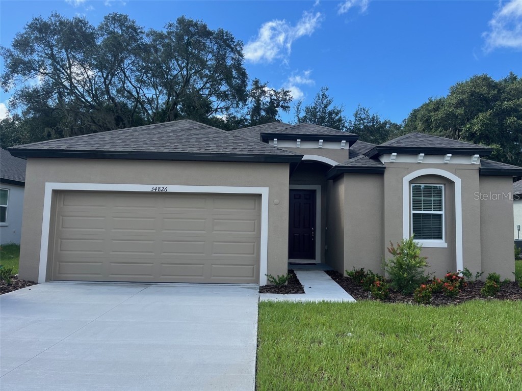 34826 Mulrion Drive Zephyrhills FL 33541 T3528035 image1