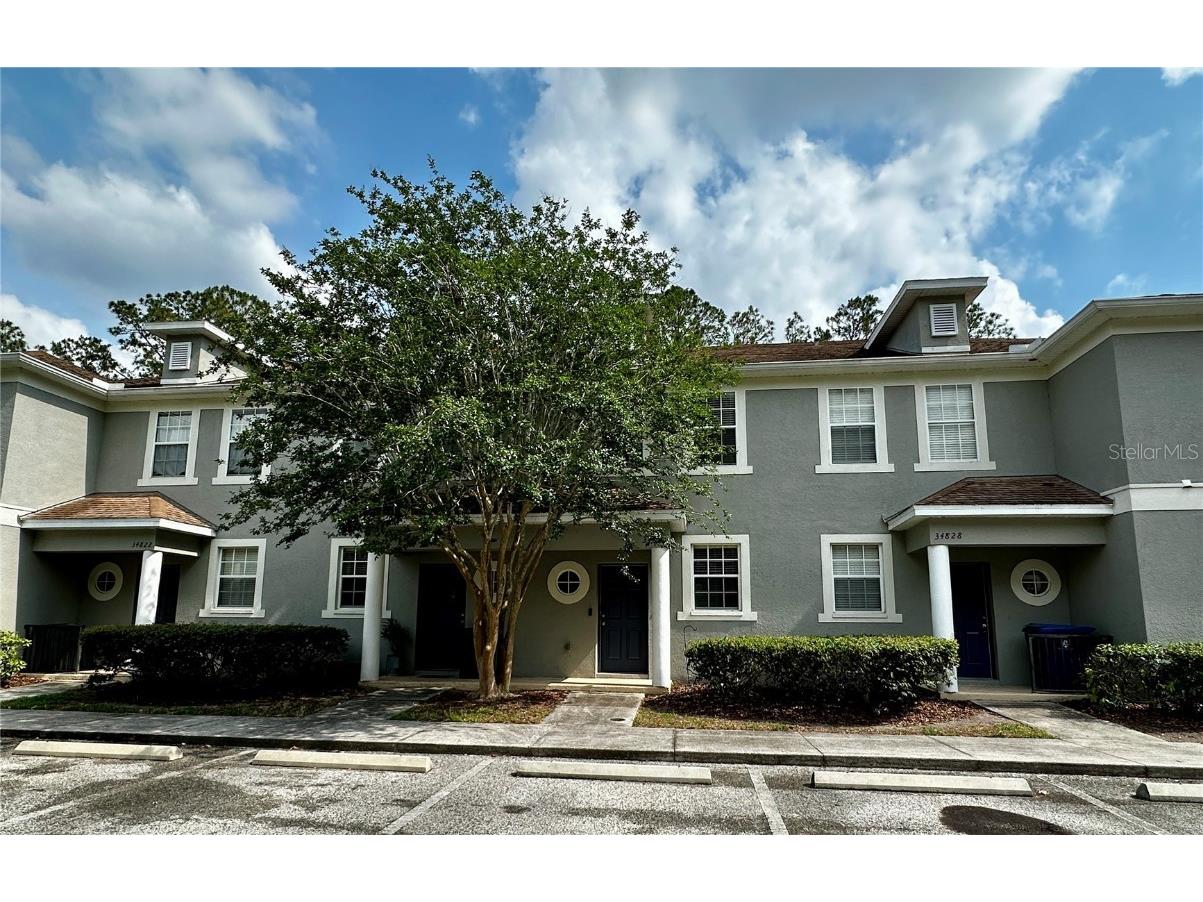 34826 Turnbury Court Zephyrhills FL 33541 T3526464 image1