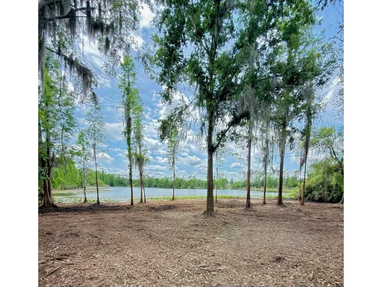 3483 Brooke Smith Road Fort Meade FL 33841 - BROOKE LAKE B4902305 image30
