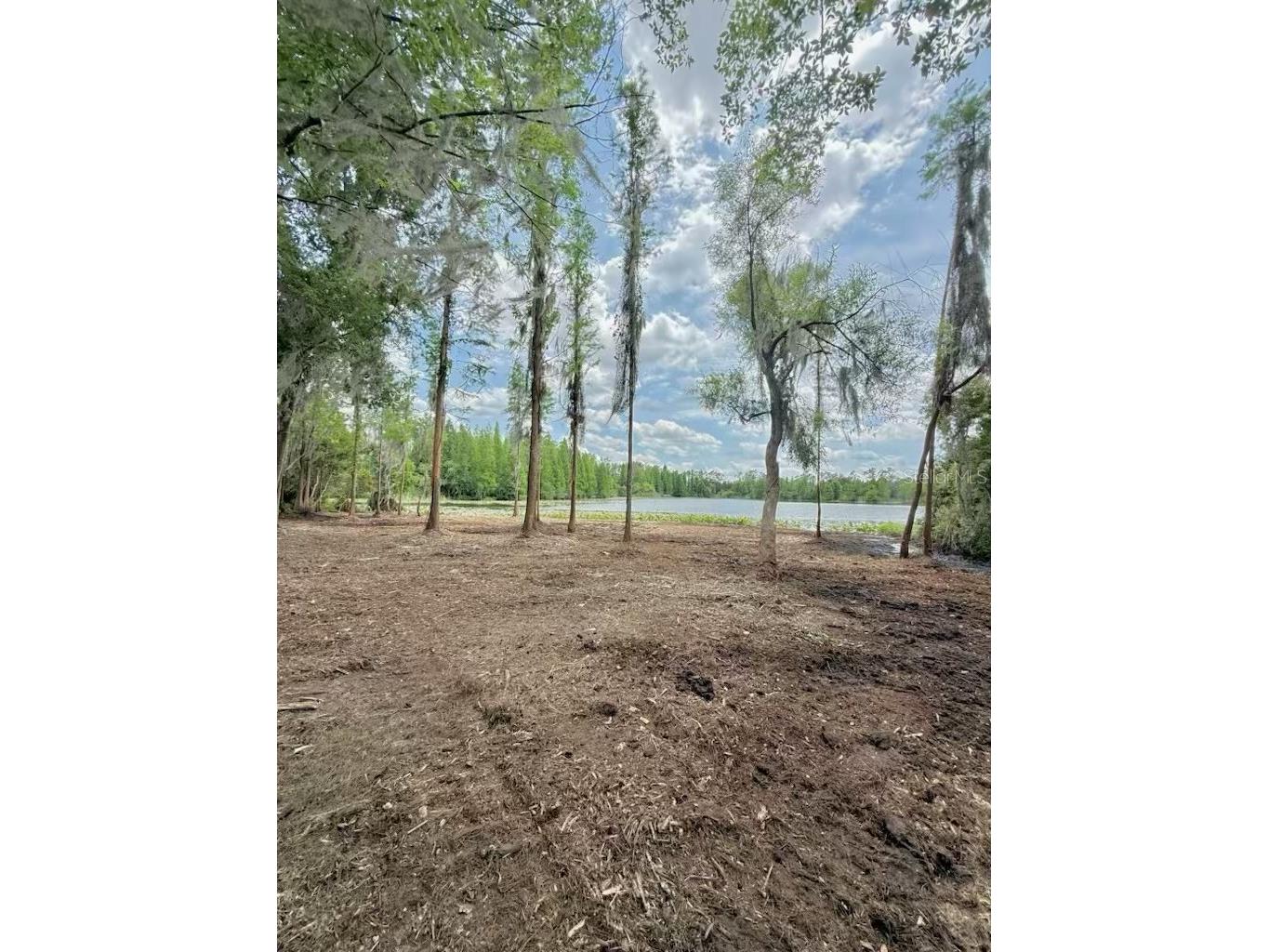 3483 Brooke Smith Road Fort Meade FL 33841 - BROOKE LAKE B4902305 image31