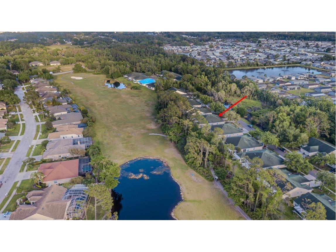 34833 Double Eagle Court Zephyrhills FL 33541 TB8367793 image3