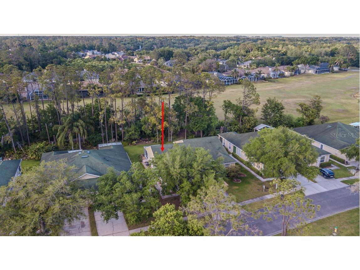 34833 Double Eagle Court Zephyrhills FL 33541 TB8367793 image4