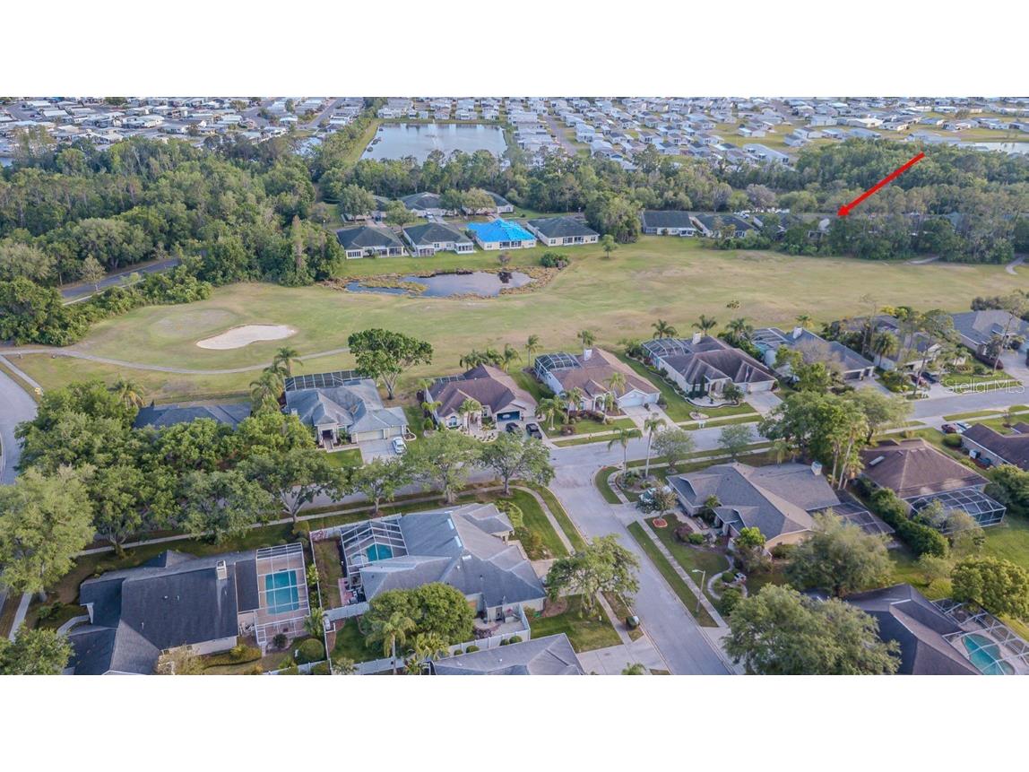 34833 Double Eagle Court Zephyrhills FL 33541 TB8367793 image6