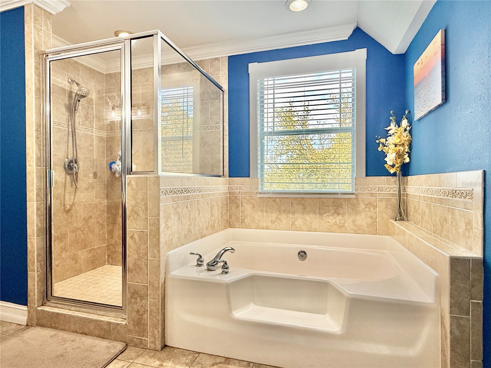 34834 Redding Lane Zephyrhills FL 33541 TB8493194 image19