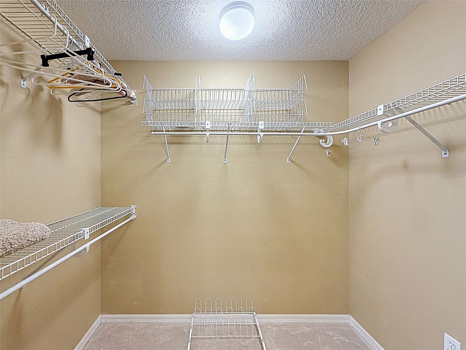 34837 Double Eagle Court Zephyrhills FL 33541 A4681617 image37