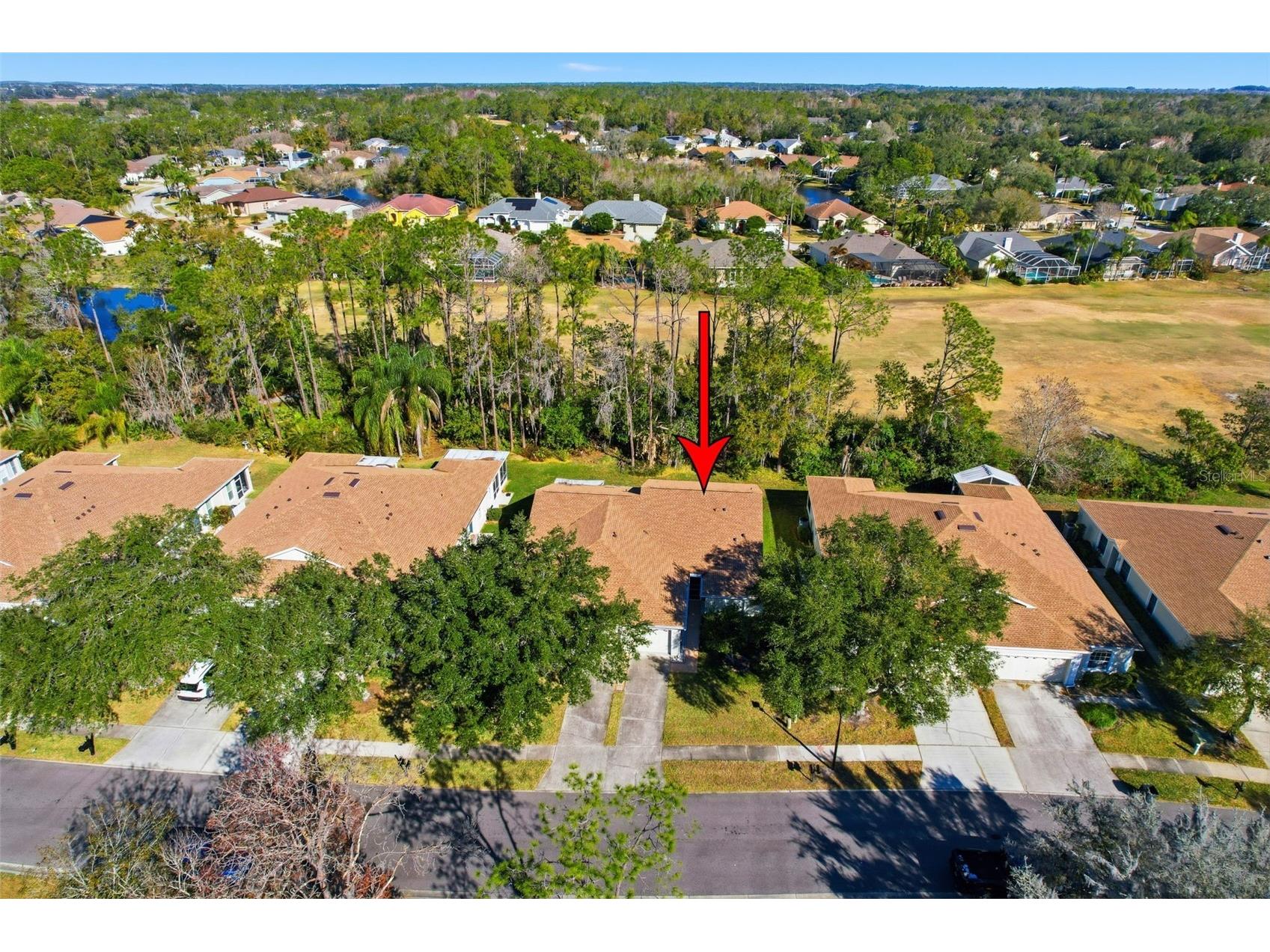 34837 Double Eagle Court Zephyrhills FL 33541 A4681617 image53