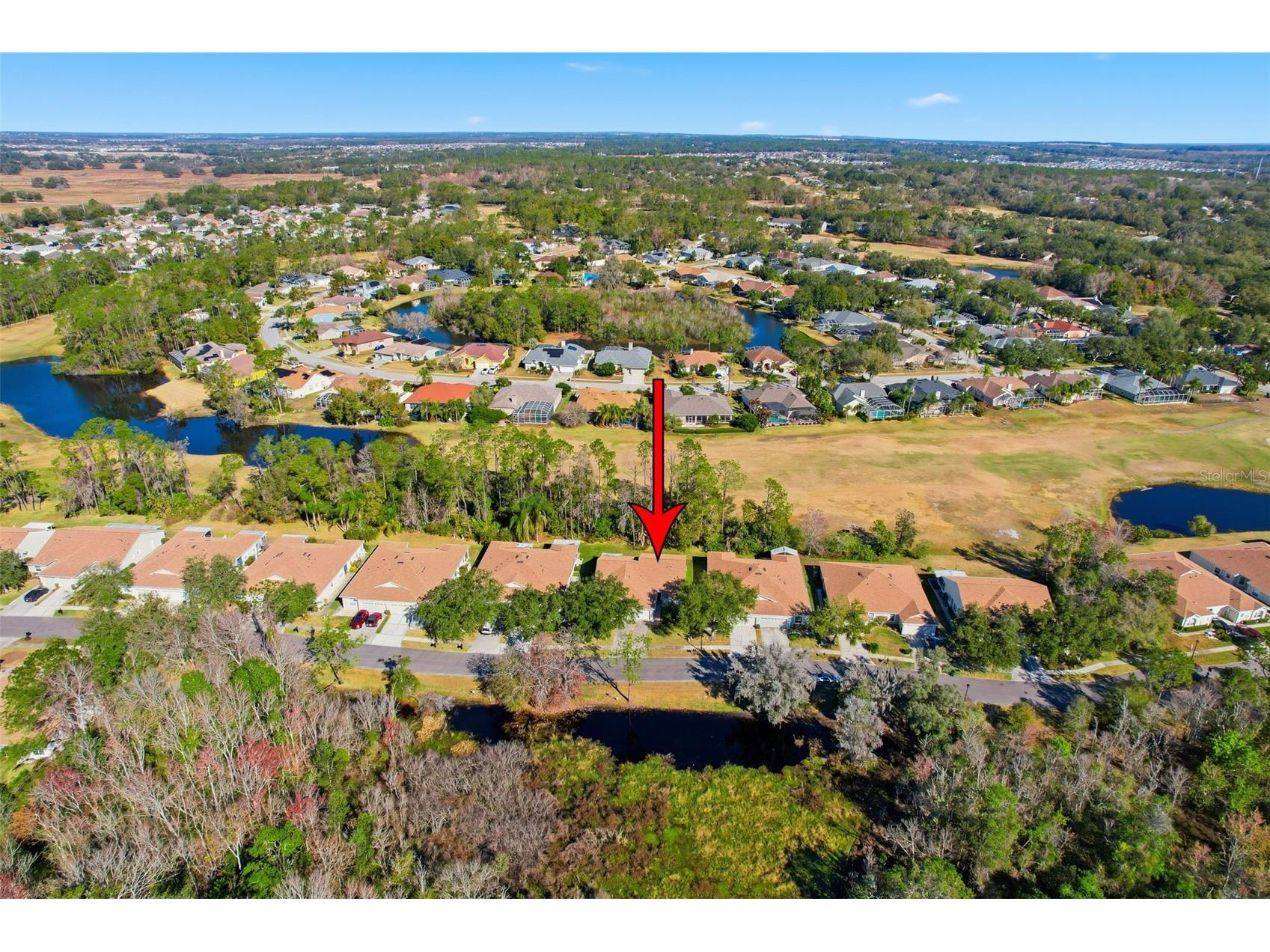 34837 Double Eagle Court Zephyrhills FL 33541 A4681617 image54