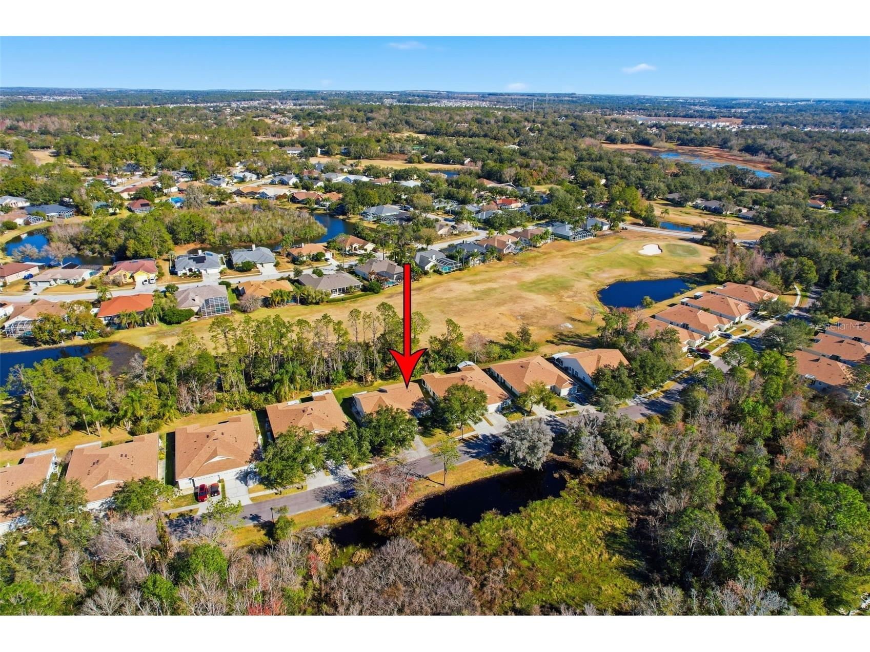 34837 Double Eagle Court Zephyrhills FL 33541 A4681617 image56