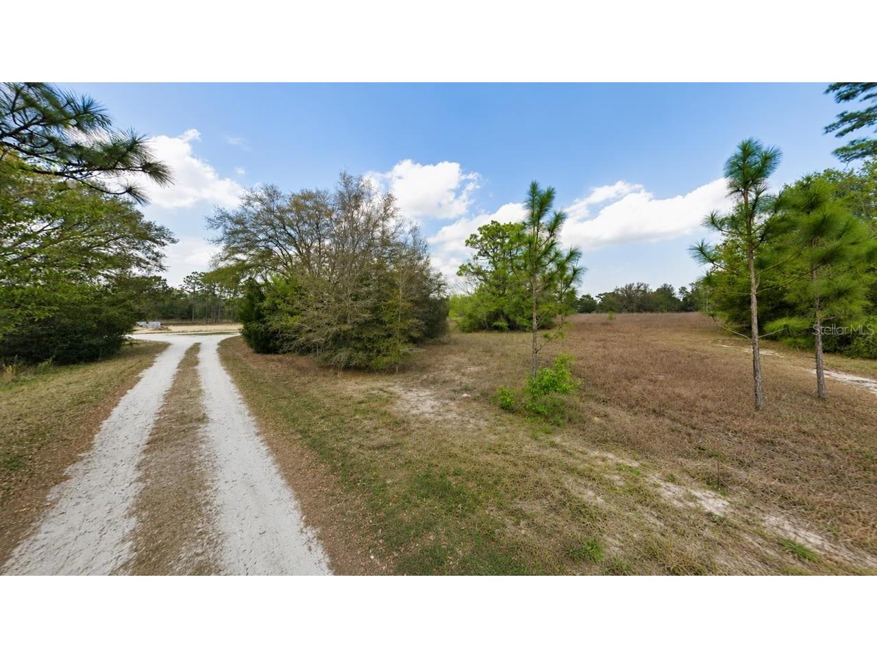 3484 SW 149th Court Ocala FL 34481 O6426631 image2