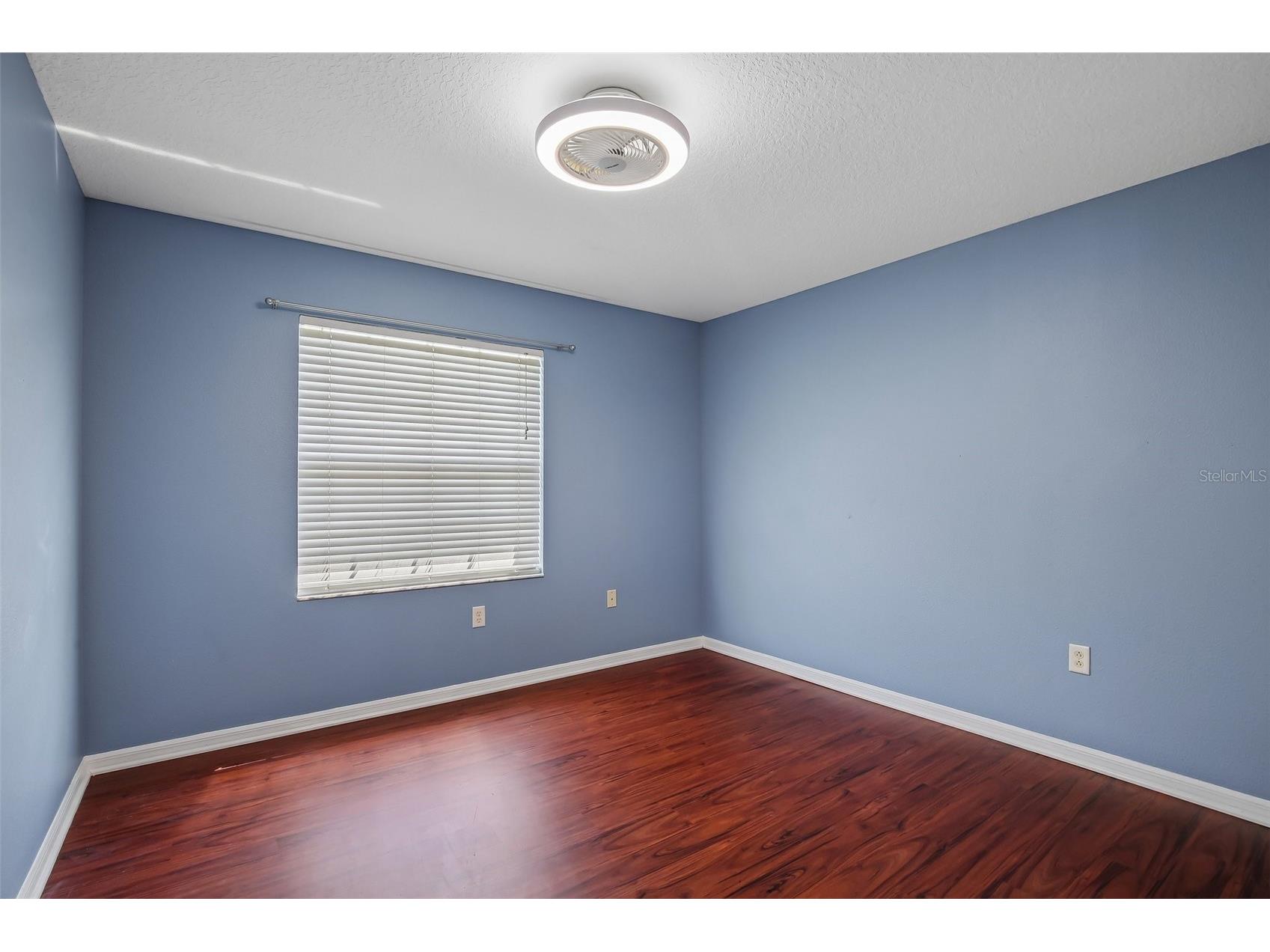 34842 Teeview Lane Zephyrhills FL 33541 TB8523262 image21