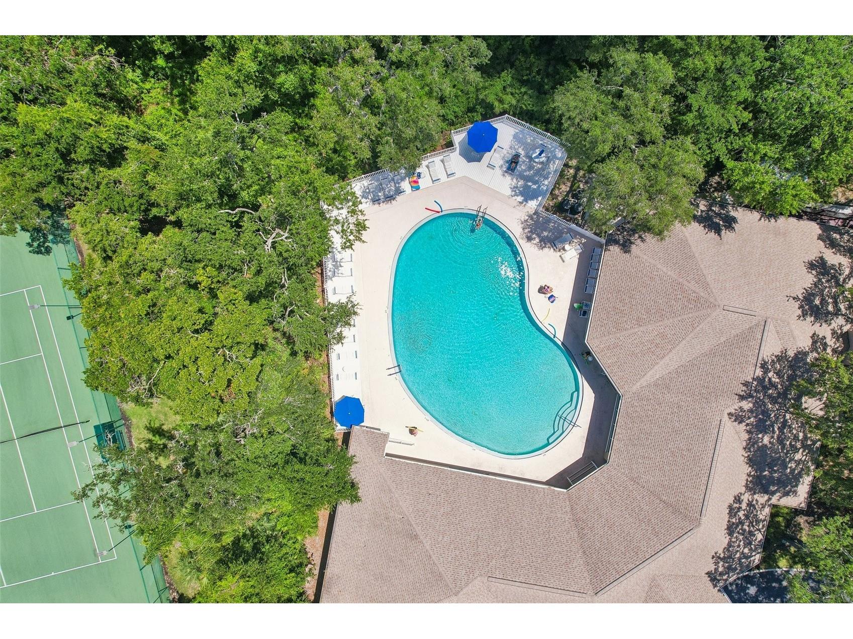 34842 Teeview Lane Zephyrhills FL 33541 TB8523262 image37