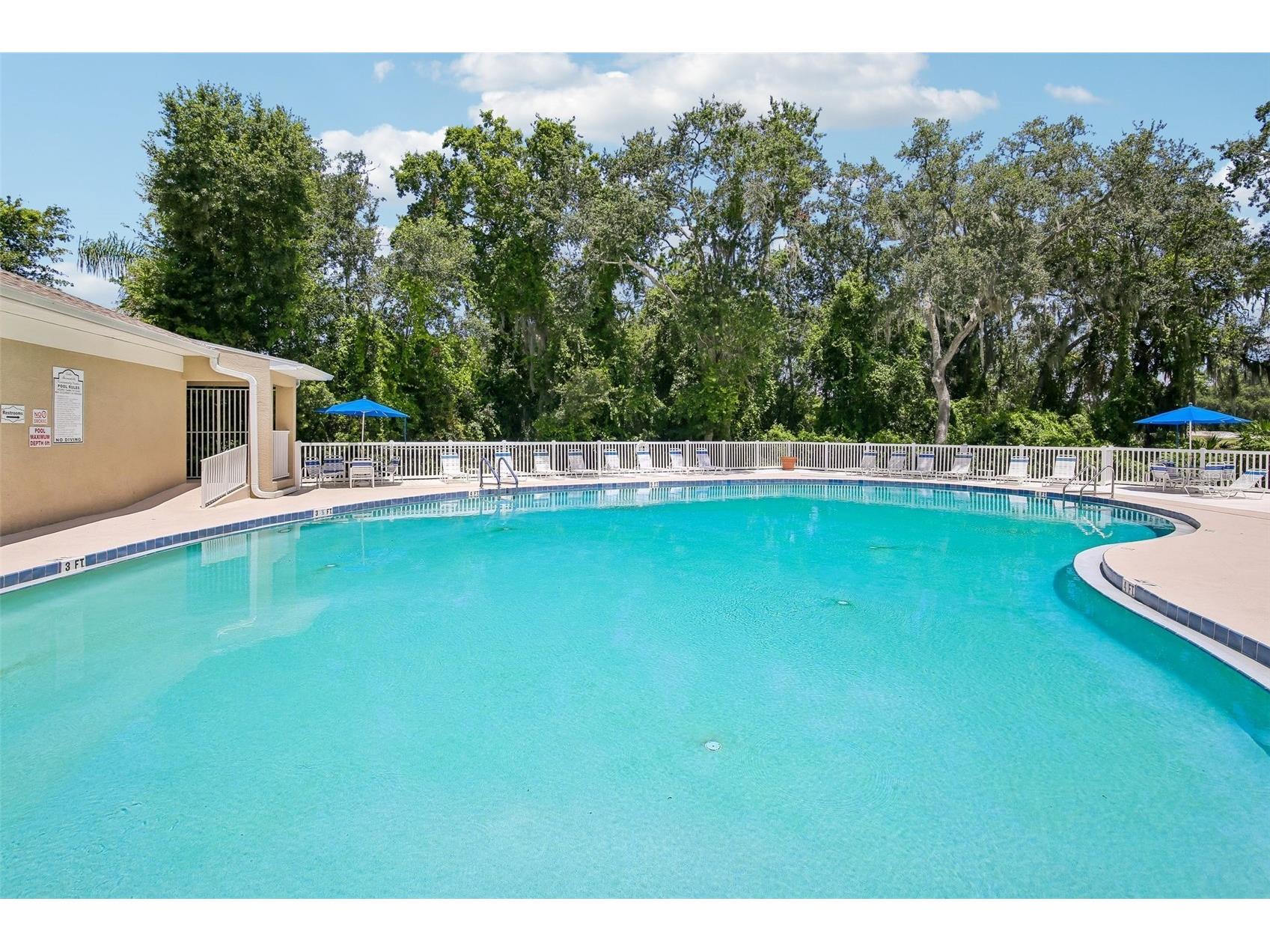 34842 Teeview Lane Zephyrhills FL 33541 TB8523262 image38
