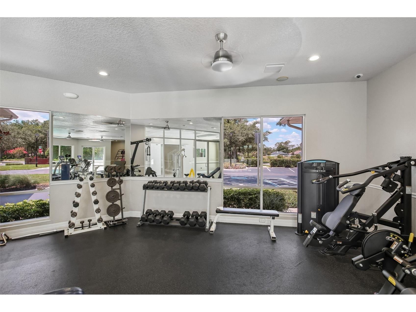 34842 Teeview Lane Zephyrhills FL 33541 TB8523262 image44