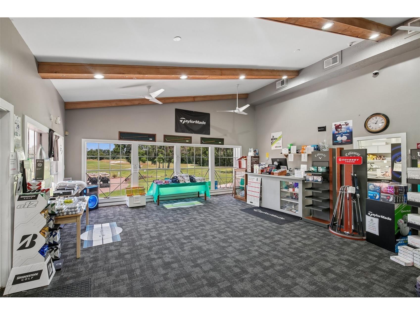 34842 Teeview Lane Zephyrhills FL 33541 TB8523262 image51
