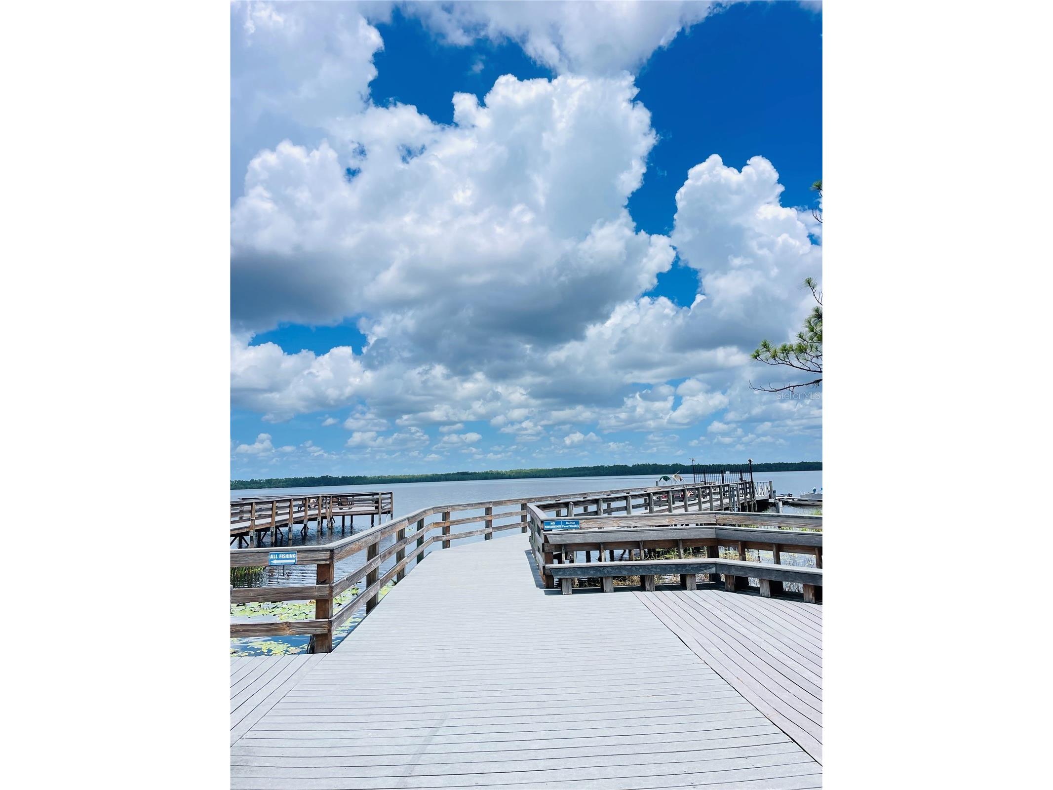 3485 Middlebrook Place Harmony FL 34773 S5152836 image39