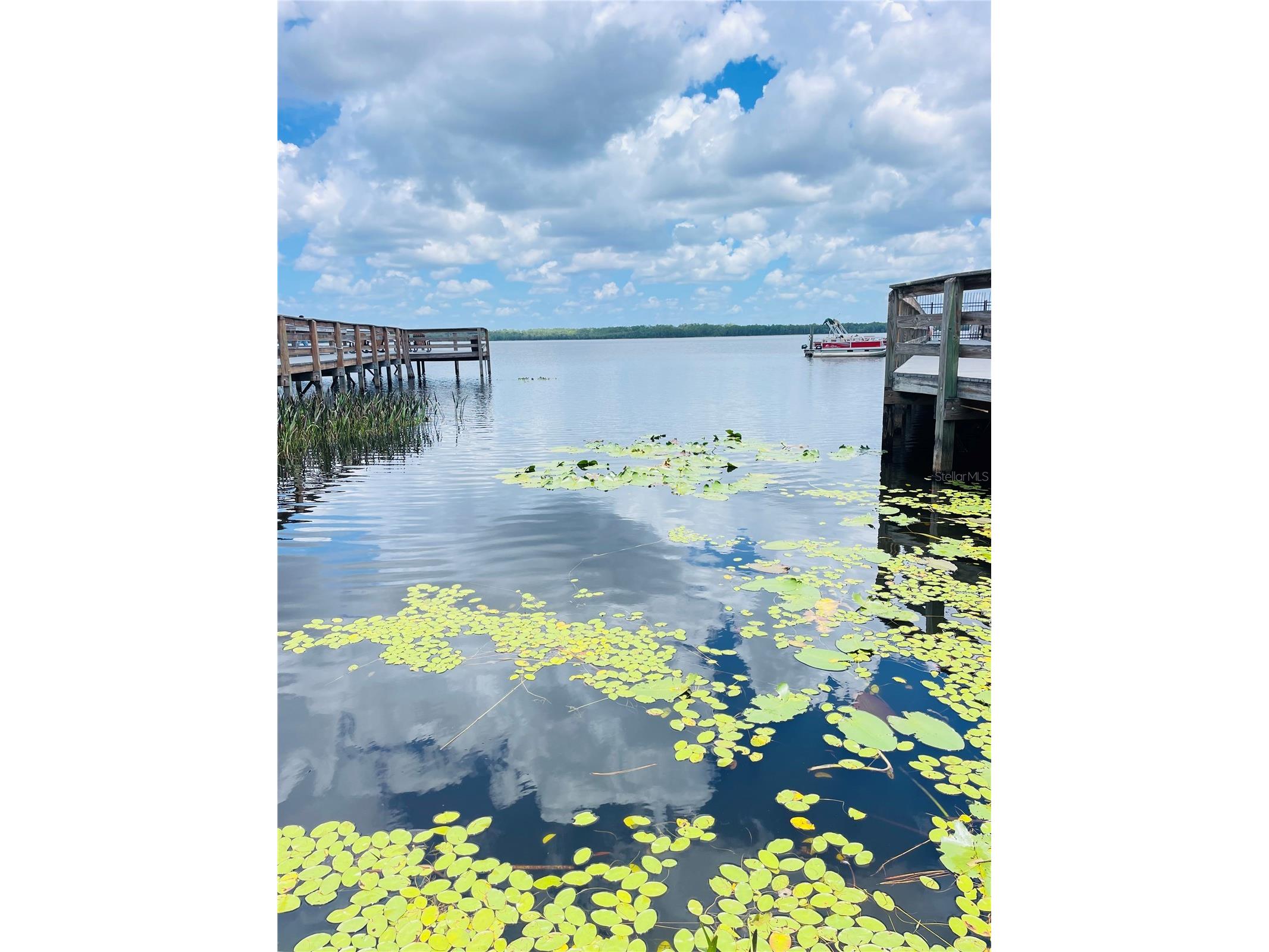 3485 Middlebrook Place Harmony FL 34773 S5152836 image41