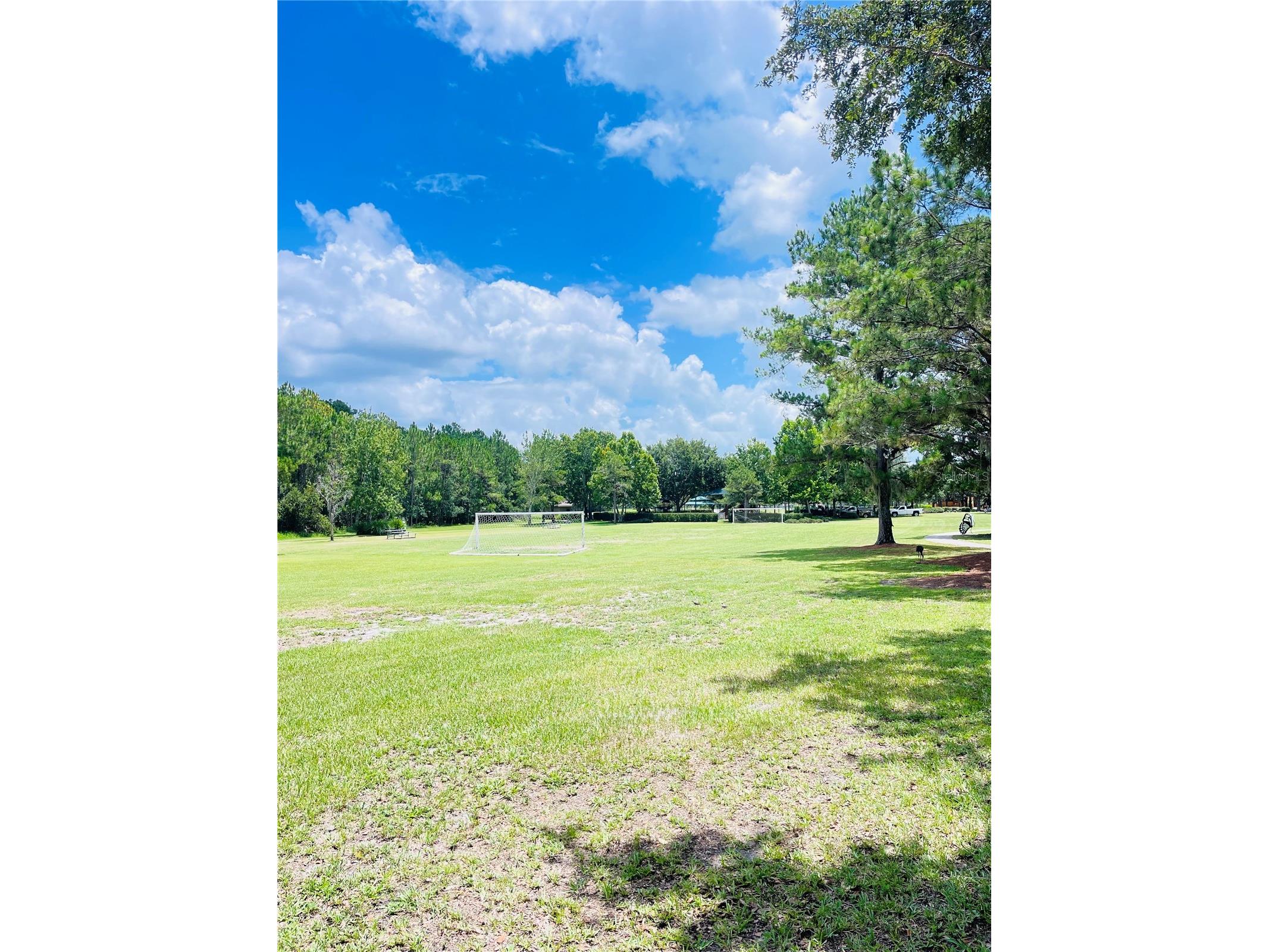 3485 Middlebrook Place Harmony FL 34773 S5152836 image43