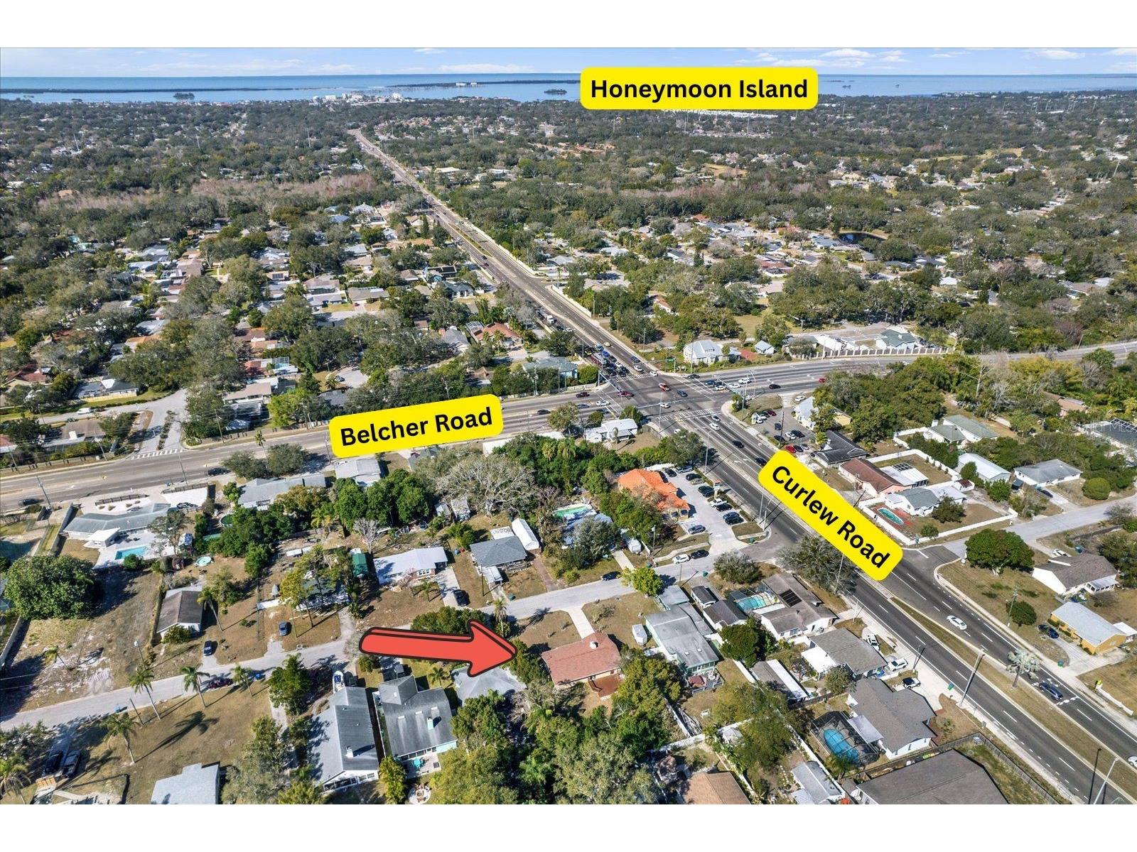 3485 Pine Street Dunedin FL 34698 TB8473015 image20