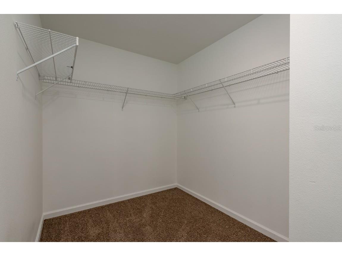 34855 Daisy Meadow Loop Zephyrhills FL 33541 TB8381910 image21