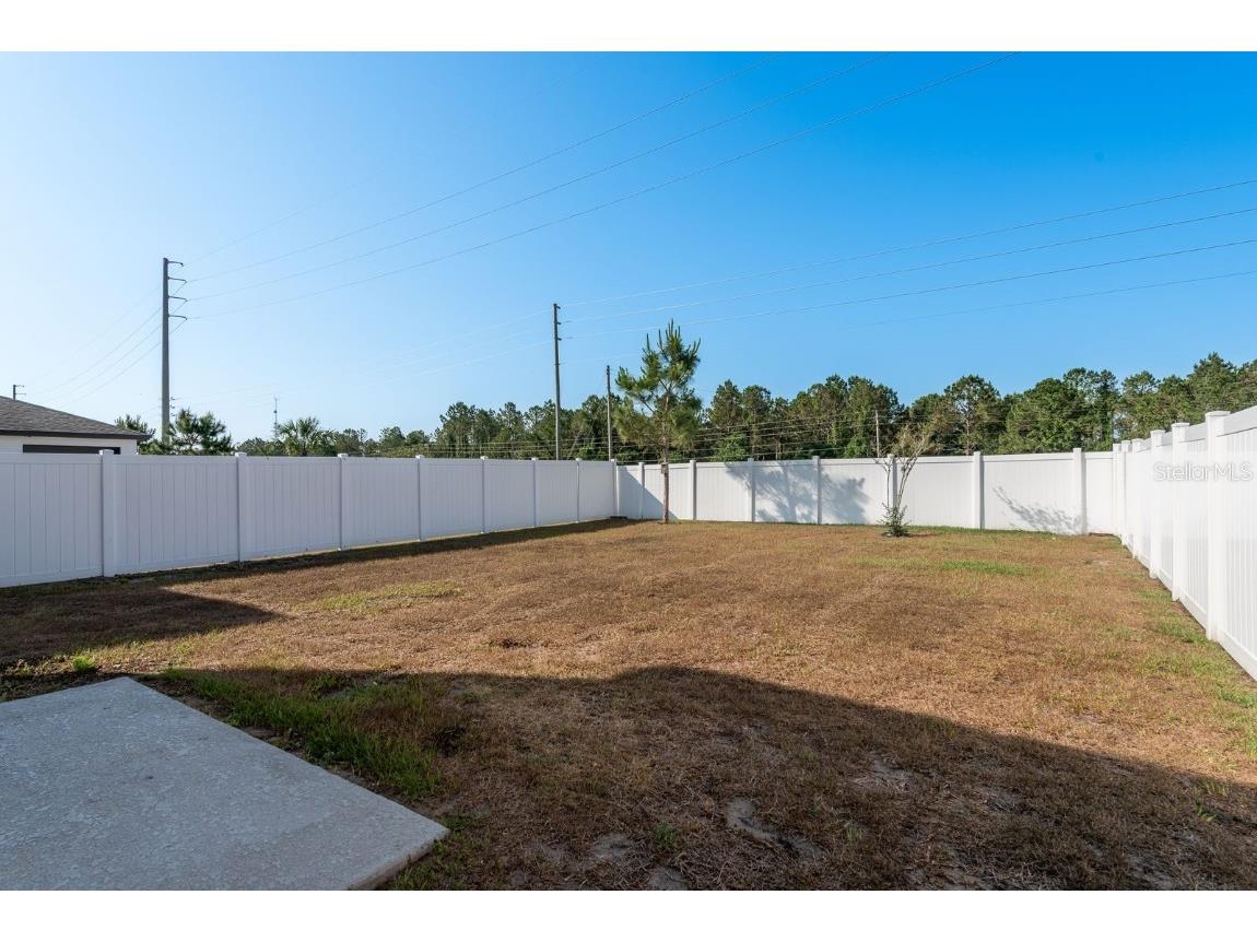 34855 Daisy Meadow Loop Zephyrhills FL 33541 TB8381910 image28
