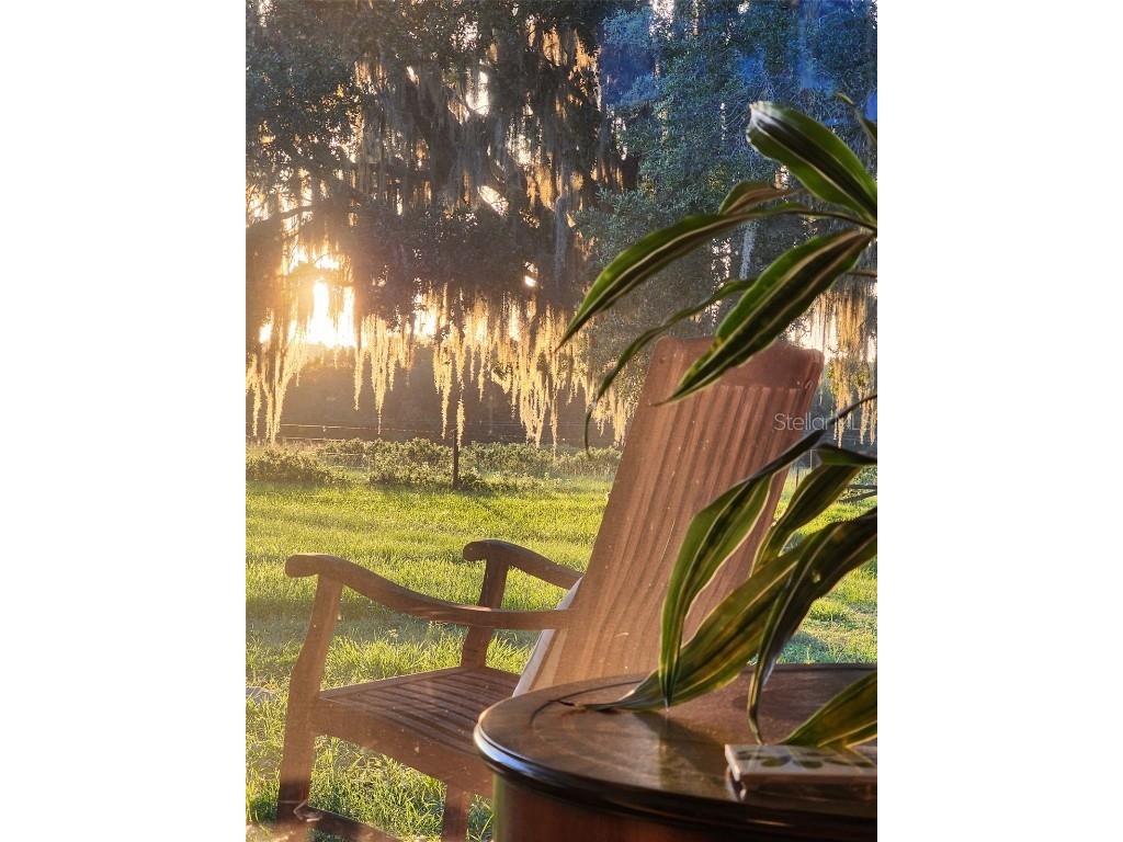 34868 Prospect Road Dade City FL 33525 T3542346 image3