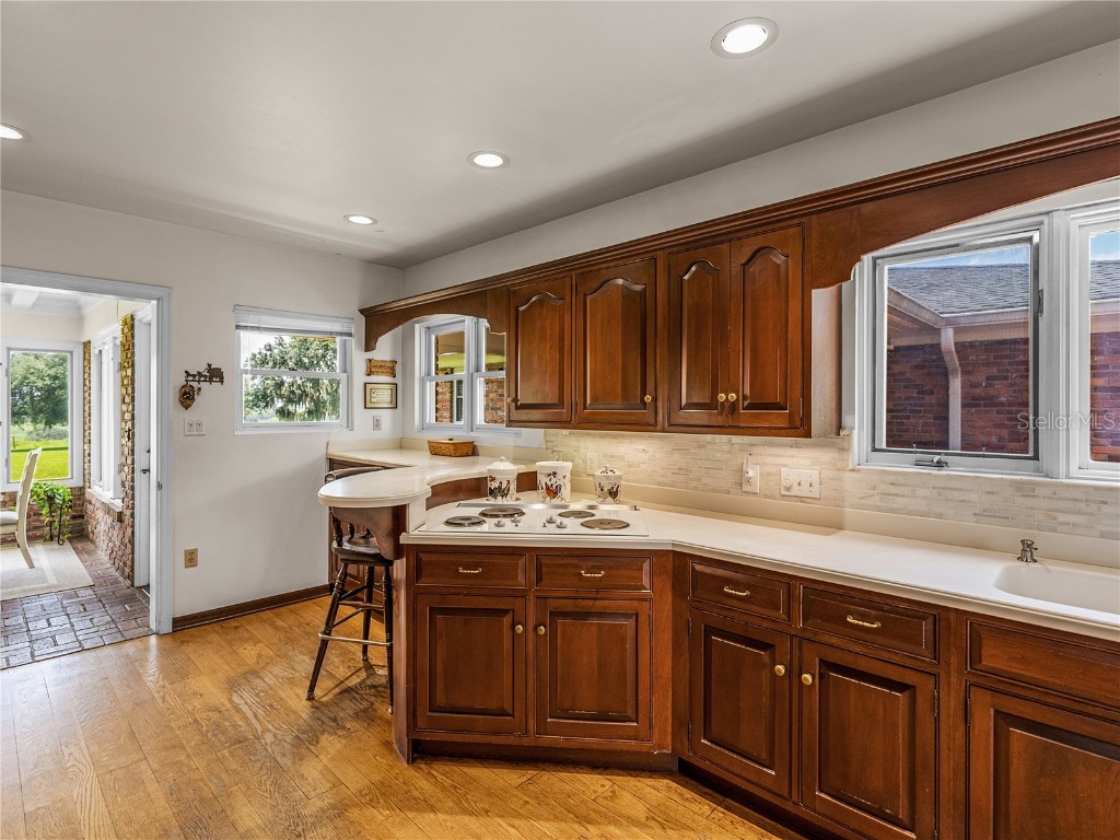 34868 Prospect Road Dade City FL 33525 T3542346 image41