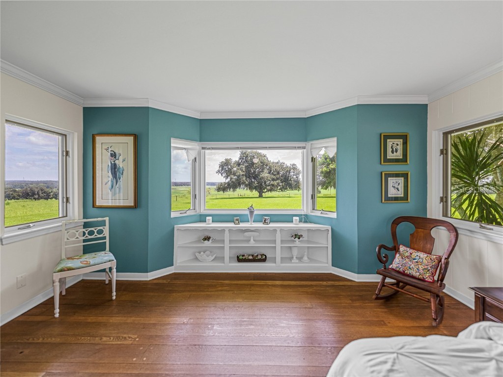 34868 Prospect Road Dade City FL 33525 T3542346 image47