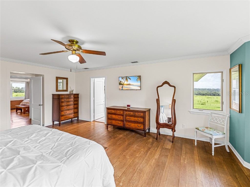 34868 Prospect Road Dade City FL 33525 T3542346 image49