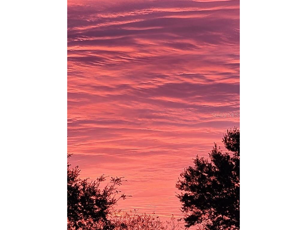 34868 Prospect Road Dade City FL 33525 T3542346 image5