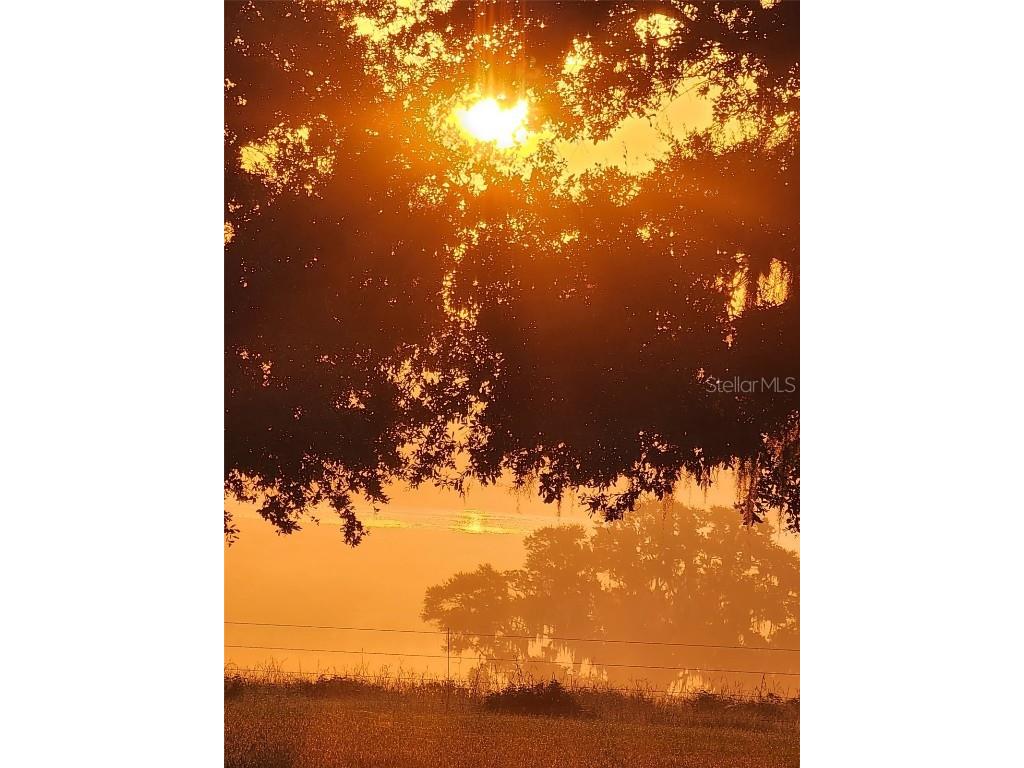 34868 Prospect Road Dade City FL 33525 T3542346 image6