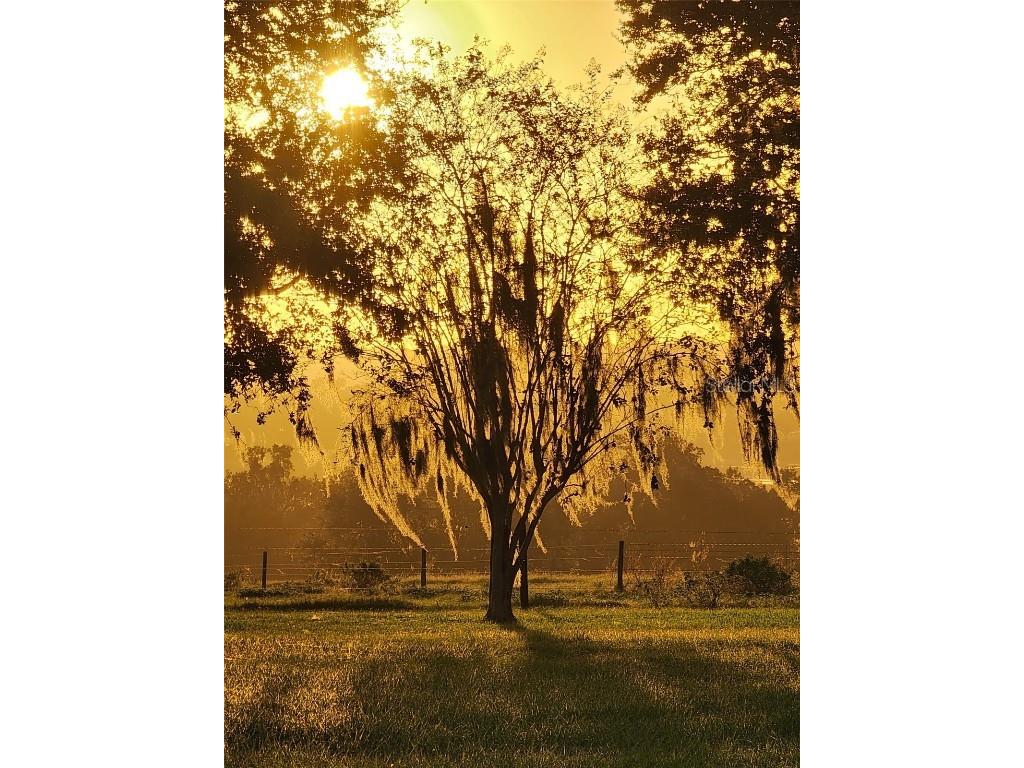 34868 Prospect Road Dade City FL 33525 T3542346 image7