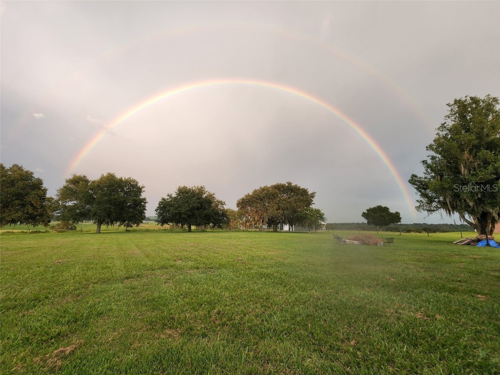 34868 Prospect Road Dade City FL 33525 T3542346 image8