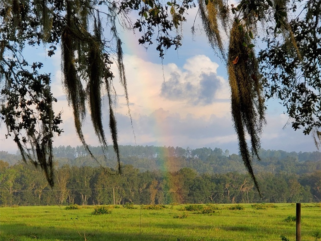 34868 Prospect Road Dade City FL 33525 T3542346 image9